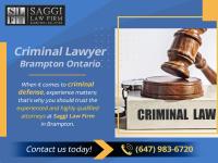 Saggi Law Firm image 62